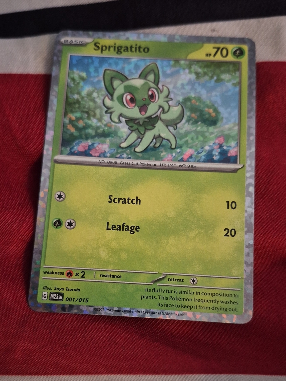 NEW---Sprigatito Pokémon Card - Green Holo